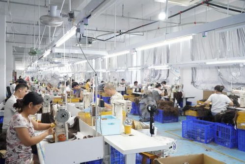 谷子經濟走紅拼多多 小發絲牽動大民生與產業新圖景